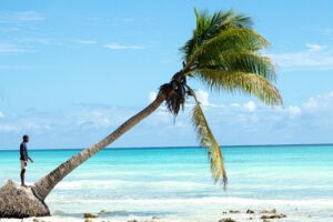 Relaxing tropical beach with palm trees in República Dominicana.